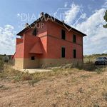 AZ337 - Agricultural estate with farmhouse, shed, and 142 hectares of land with hazelnut grove