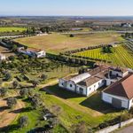 Renowned farm in the heart of Vidigueira