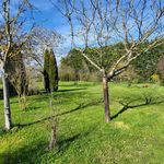 Jolie maison avec dépendances, grand terrain