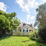 Maison de 163m2 sur sous-sol avec terrain arboré de 6100m2