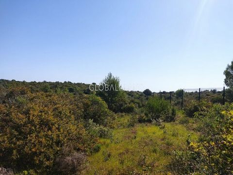 Rustic land located in a quiet area with good access between Palmares / Lagos, close to the Golf. It has a total area of ​​6020sqm consisting of plots of carob trees. Good opportunity!