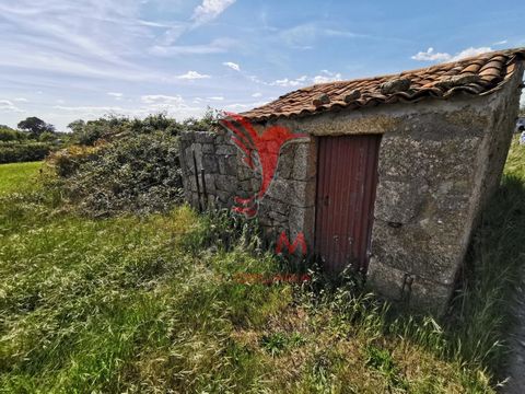 Rusticland with 5000m2, with a very fertil soil, with well and a stone construction duly registered. It is in Lardosa, a friendly village of the municipality of Castelo Branco, about 30 minutes from serra da Estrela, and surrounded by a number of nat...
