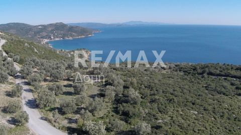 Real estate consultant Kyriakos Papageorgiou, member of the Sianos Papageorgiou team and RE/MAX Domi. Exclusively available from our team for sale is an even and buildable plot of land of 10376 sq.m. in Lafkos and more specifically between Mikros and...