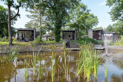 Lunteren, dans la Gueldre, est le centre géographique des Pays-Bas. Entouré de bois, de landes et de bancs de sable, Lunteren est une destination idéale pour les amoureux de la tranquillité, de l'espace et de la nature. Découvrez l'authenticité de la...