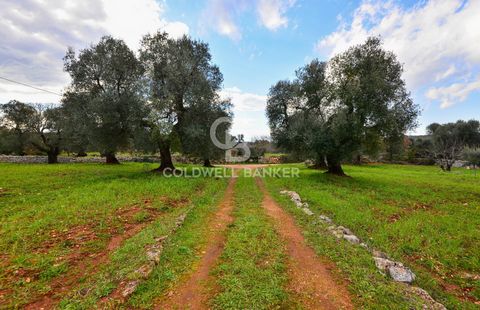 PUGLIA. Martina Franca LAND FOR SALE Coldwell Banker offers for sale, exclusively, agricultural land in Contrada Cavaliere. The land, more than one hectare, is planted with olive groves and orchards. A Coldwell Banker Ostuni exclusive. Contact our of...