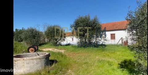 Land in Grândola with approved project in Grândola. Land of 40,000 m², with a typical Alentejo villa. By acquiring this land you can choose to recover the existing house or carry out a completely new project. It is a mostly flat terrain, with cork oa...