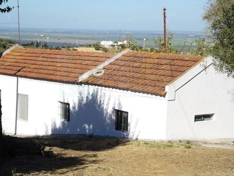 Farm of 20.760m2 with v3 villa, in Vila Franca de Xira, 20 minutes from Lisbon. The villa, to rehabilitate, has 3 bedrooms (an independent suite), kitchen, living room, service bathroom and glass area of conviviality. It has borehole, electricity, ma...