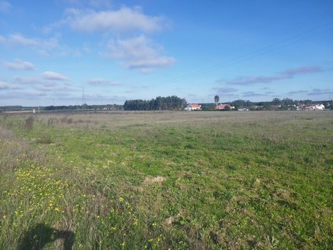 Land in the central area of Foros de Almada - Santo Estevão. Absolutely urbanizable land, suitable for allotment - with pre project. The pre-project has as its basic idea, 76 lots of 900 m2 each. It also already has defined areas for gardening and st...