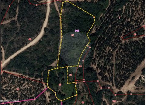 Rustic land for sale with an area of 10,400.00 m2. It is located between Constância Sul and Vale de Mestre Book your visit now.   ADVANTAGES OF BEING OUR CUSTOMER We are a united and motivated team that takes on its business with ethics, honesty and ...