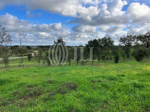 Rustic land, 20,880 sqm (2 hectares) located in Mosqueirões, in the parish of Santa Margarida da Serra, municipality of Grândola, with mountain view, includes a 151 sqm ruin for restoration. With excellent accessibility, direct access to the land by ...