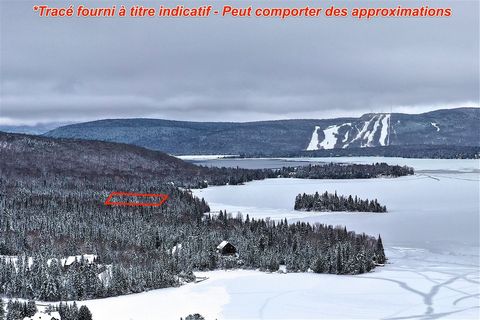 Here is a beautiful piece of land on the market of Saint-Donat! With a size of about 43,000 sq. ft./n/rEnjoy a slightly sloping flat piece of land in the Pointe des Prêtres sector./n/rA forest of mature trees, mainly deciduous trees./n/rNo neighbours...