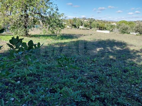 Beautiful plot of rustic land, flat and with open views of the mountains. If you like the colors and tranquility of the countryside, this land with 4,440m2 offers you that opportunity. Land with electricity, basic sanitation and good access, located ...