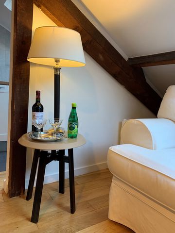 Issy les Moulineaux. Charming attic apartment, elegantly furnished and fully equipped, with living room, dining room, bedroom, kitchen, bathroom and terrace overlooking a private garden. Located opposite the exit from RER Issy Plaine line C station. ...