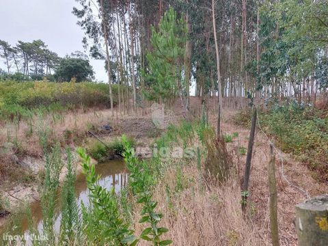 Land with 1.380m2 with eucalyptus and pond. The plantation was made in 2015 through an approved project and is almost at cutting time, which will be the first. At the bottom of the property was built a pond for retention and accumulation of water. Ea...