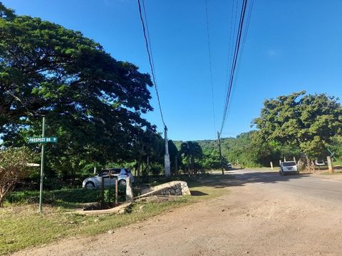 For sale 3.4 acres lot with a 800 sq ft building on the property which can be expanded into your dream home. Great location to raise your family and farm. Fruited property with coconut trees, mango trees etc. Close to schools. Call to schedule your v...
