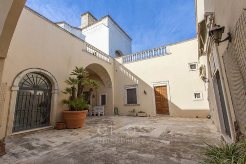 This enchanting courtyard house, located in the historic heart of Squinzano, represents a valuable opportunity for those seeking a residence full of charm, as well as for those wishing to transform it into a distinctive hospitality facility. Courtyar...