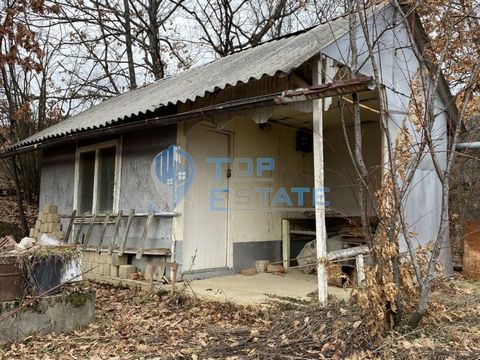 Top Estate Real Estate biedt u een tuin met villa in het dorp Boriki, regio Gabrovo. Het dorp Boriki ligt 5 km ten oosten van het centrum van Gabrovo, gelegen in het zuidwestelijke deel van de Gabrovo-hoogten. De aangeboden woning is een erf met een ...