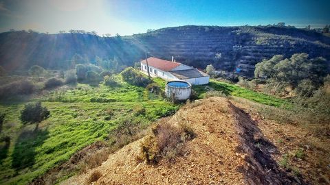 Property, with 4,724 ha of land, which includes two urban plots. In the first urban plot, with an area of 480 m2, there is a single-story house, type T3, with 238 m2 of construction area. This house has a living room (22 m2), kitchen (18 m2), 3 bedro...