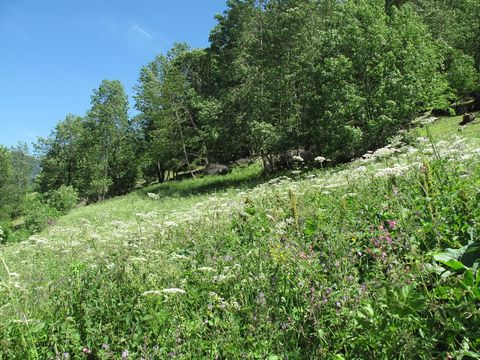 Superb opportunity to acquire a large plot of building land, in a traditional village close to ski resorts. La Plagne / Champagny-en-Vanoise 10 minutes by car; Pralognan-la-Vanoise 10 minutes by car; Courchevel/ 3 Valleys 20 minutes. Surface of land:...