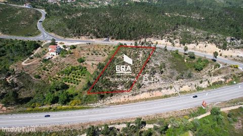 Land with eucalyptus, with an area of 4800m2, located 2 minutes from the access node to IC9, being 10 minutes from Tomar, 19 minutes from Ferreira do Zêzere, 25 minutes from Batalha and 30 minutes from Pombal. In addition, the land is located 15 minu...