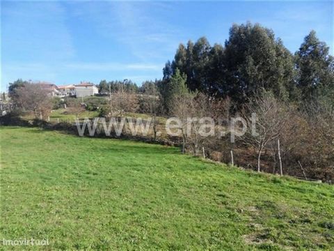 Rustic land with a total area of 7.060m2, all flat and with a good sun exposure. It has good access and a magnificent sun exposure. Excluded from the SCE, under Article 4 of Decree-Law No. 118/2013 of 20 August.