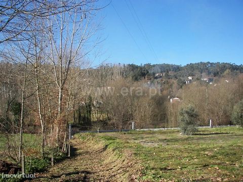 Land in Travassós Land with 4.125 m2, well water, plan Confronts Ribeiro, fertile ground, very close to the center of the parish, good access. Shop with ERA Fafe ERA Fafe opened its doors in 2005 and built an upward trajectory that is now recognized ...