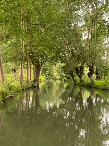 Vous rêvez dun coin de paradis où la seule chose qui perturbe le silence est le chant des oiseaux ? Ne cherchez plus ! Terrain de loisirs de 890 m2 environ au bord du Thouet. Laissez vous charmer par ce petit coin de paradis! Amateurs de pêche ou con...