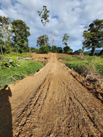 El terreno en cuestión abarca una extensión de 9,653 metros cuadrados y se caracteriza por su abundante flora y fauna, lo que lo convierte en un entorno natural excepcional. Su amplitud y riqueza en biodiversidad lo hacen ideal tanto para proyectos d...