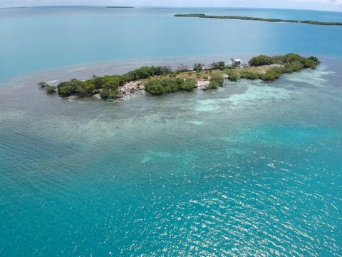 Willkommen auf Bodden Caye, einer atemberaubenden Privatinsel in der Nähe des Great Barrier Reef in Belize. Diese 2 Hektar große Insel mit 1,5 Hektar festem Land bietet einen unvergleichlichen Zugang zu einer der malerischsten Landschaften der Karibi...