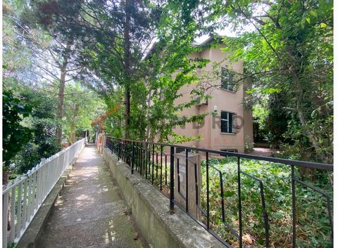 Die Villa befindet sich in Besiktas. Besiktas ist ein Bezirk auf der europäischen Seite Istanbuls. Es liegt zwischen dem Goldenen Horn und der Bosporusstraße und ist ein beliebter Ort für Touristen und Einheimische. Besiktas ist bekannt für seine his...