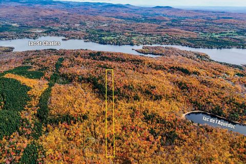 Vous cherchez un terrain où vous pourrez vous évader et profiter de la nature à seulement +/- 20 minutes du centre-ville de Québec? Ce vaste terrain non constructible de +/- 365 000 p² sur l'avenue du Lac-St-Charles est l'endroit parfait pour avoir v...