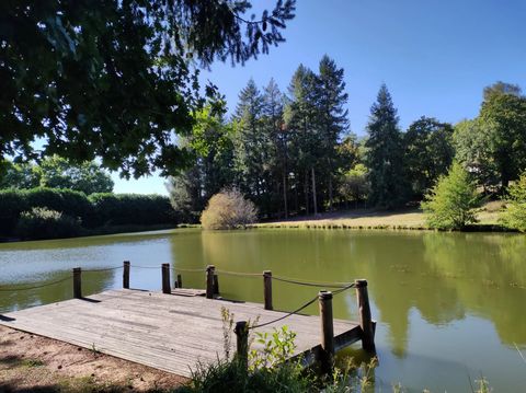 The villages of Nontron and Augignac are located in the heart of the Nontronnais region between forests, meadows and ponds. And it is here that this property is hidden from view and yet close to the networks. You enter a bucolic setting of 2 hectares...