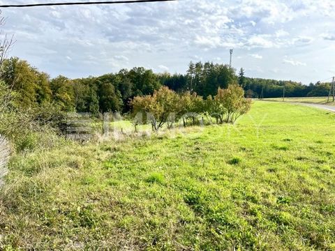 Viel Platz für Ihre Geschäftsidee mit Zukunftsperspektive! In der aufstrebenden Region befinden sich bereits Gewerbebetriebe wie ein Parfumerieerzeuger und eine KFZ-Werkstädt und ein Freudenhaus. 8400m2 des Grundstücks sind als GG Gewerbegebiet gewid...