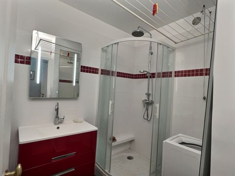 photo no. 6
