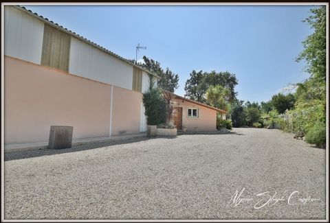 photo no. 2
