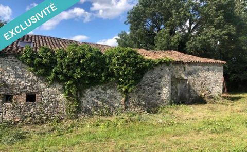 Sur la commune de Villegouge à 15 min de Libourne, terrain de 1 hectare voire 2 hectares possible. Proche de toutes commodités : école, crèche, commerces (boulangerie, épicerie...), pôle santé. 370m2 habitable. 760m2 de bâtis en cours de changement d...