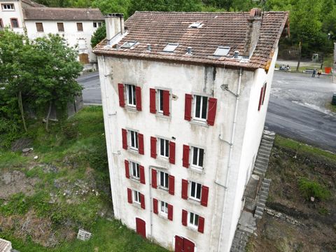 Gelegen in een toeristisch dorp in de Haute-Vallée de l'Aude met winkels en diensten op 5 minuten van Quillan, groot huis op 6 niveaus met een bewoonbare oppervlakte van 437 m2 met tuin en 2 garages van 50 m2, waarvan er één van hout is. Momenteel be...