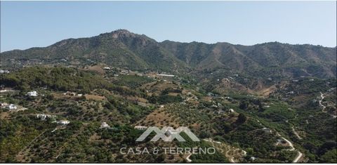 Do not miss this opportunity to buy a dream plot, it has the right to 1 million liters of water per month and has the possibility of building 2 small houses, one of 40m2 and the other of 30m2. The property is terraced and has about 100 avocado trees ...