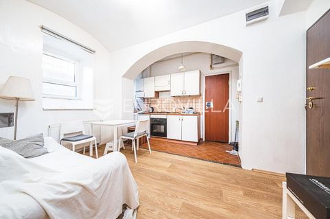 Palmotićeva street, functional one bedroom apartment 25 m2 in the basement of a well-maintained residential building (new chimneys, complete renovation of the street facade of the building). It consists of an entrance hall, living room with kitchen a...