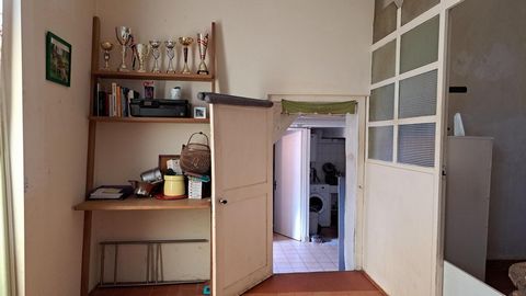 photo no. 5