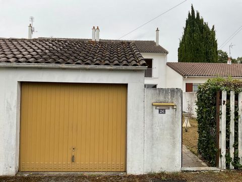 photo no. 11