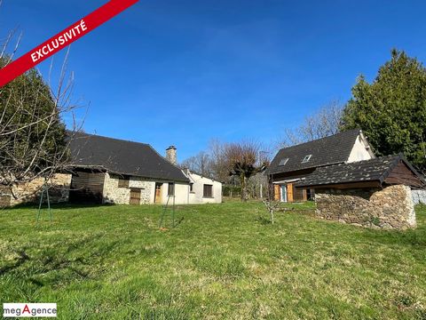 Située au calme, en impasse, sur la commune de Lagraulière, ancien corps de ferme comprenant une maison refaite à neuf, une grange indépendante avec une ancienne maison à restaurer, un four à pain, un bûcher et un puits sur 12 786 m² de terrain. Cet ...