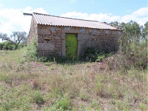 Excellent farm with a total area of ​​11.200 m2, with lots of privacy. Its composition includes a stone construction with around 35 m2 of area, ideal for restoring and converting into housing. Ideally solar the electricity is a bit far Ideally drill ...