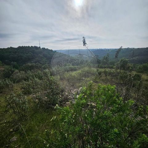 Terrain rustique à vendre, Terrain rustique de 56520m² situé dans la paroisse d’Azinhal, municipalité de Castro Marim. Cette propriété offre un cadre serein et de nombreuses possibilités d’investissement. Il se trouve à 3,5 km du fleuve Guadiana et d...