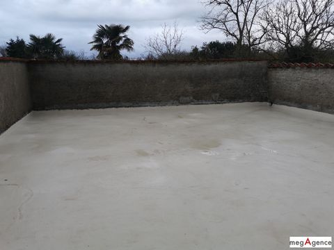 photo no. 12