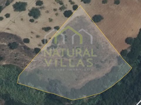 Rustic land in wonderful area in Fialho, Estoi in the Algarve. Rustic property holding a total area of land 4.440m2 being described as land of culture with olive and almond trees. The land has a small slope and has in its vicinity a power supply stat...