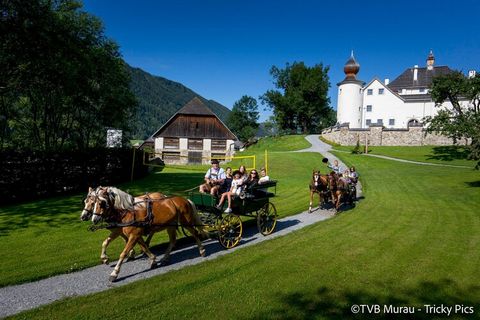 Welkom bij je ideale alpine retraite in Vakantiepark Kreischberg van ALPS RESORTS. Dit grote chalet van 120 m² is perfect voor grotere groepen of families en biedt voldoende ruimte voor 2 tot 10 gasten (maximaal 6 volwassenen en 4 kinderen). Het chal...