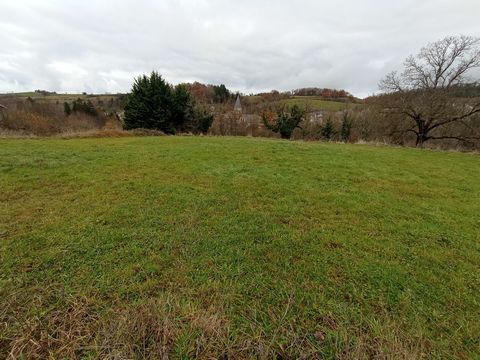 photo no. 5