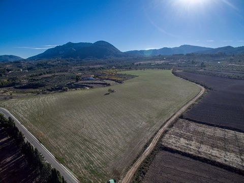 Het totale grondstuk is 400000 m2 Het grootste gedeelte van het terrein is vlak en perfect onderhouden Aansluitingen voor drinkwater zijn op verschillende plaatsen voorzien en electriciteitvoorzieningen liggen in de buurt Het terrein is gelegen aan h...