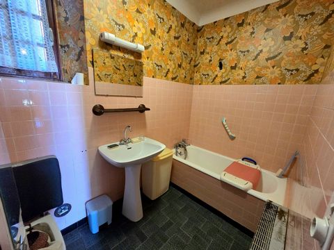photo no. 11